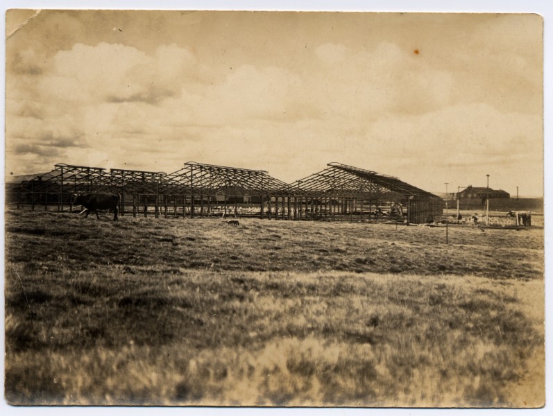 There's another shed